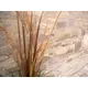L'imitazione versatile dell'erba della canna per i singoli desideri decorativi-Bild-11