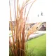 L'imitazione versatile dell'erba della canna per i singoli desideri decorativi-Bild-13