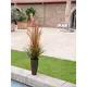 L'imitazione versatile dell'erba della canna per i singoli desideri decorativi-Bild-15