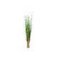 Space-saving grass arrangement - quick to relocate-Bild-1