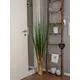 Space-saving grass arrangement - quick to relocate-Bild-4