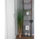 Space-saving grass arrangement - quick to relocate-Bild-5