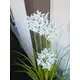 Flowering ornamental grass in decorative pot-Bild-4