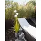 Flowering ornamental grass in decorative pot-Bild-6