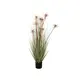 Flowering ornamental grass in decorative pot-Bild-1