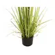 Evergreen arrangement in decorative pot-Bild-3