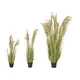 Bushy reed grass for individual nature decorations-Bild-6