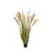 Bushy reed grass for individual nature decorations-Bild-1