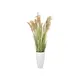 Bushy reed grass for individual nature decorations-Bild-2