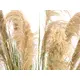 Bushy reed grass for individual nature decorations-Bild-3