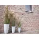 Bushy reed grass for individual nature decorations-Bild-14