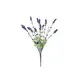 Lavender bush, tall-Bild-1