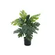 Split philodendron with leaves made of high-quality PEVA-Bild-1