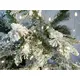 Snowy fir tree for winter decoration-Bild-4