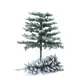 Snowy fir tree-Bild-2
