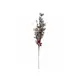 Pine twig covered with hoar frost, decorated with red berries and cone-Bild-1