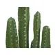 Cactus artificiale a più ramificazioni come oggetto decorativo-Bild-3