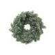 Dense fir wreath-Bild-1