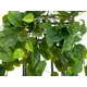 Philodendron bush made of high-quality PEVA-Bild-2