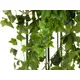 Ivy bush tendril made of high quality PEVA-Bild-4