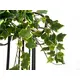 Holland ivy tendril made of high quality PEVA-Bild-2
