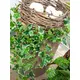 Holland ivy tendril made of high quality PEVA-Bild-9