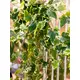 Holland ivy tendril made of high quality PEVA-Bild-11