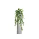 Holland ivy tendril made of high quality PEVA-Bild-1