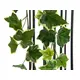 Holland ivy tendril made of high quality PEVA-Bild-2