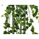 Holland ivy tendril made of high quality PEVA-Bild-3