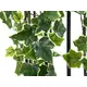 Holland ivy tendril made of high quality PEVA-Bild-3