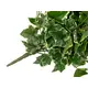 Holland ivy tendril made of high quality PEVA-Bild-4