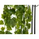 Schmale Weinbuschranke aus hochwertigem PEVA-Bild-2