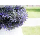 Lavender garland, ideal to add color accents-Bild-7