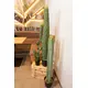 Various types of cacti stylishly arranged-Bild-3