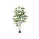 Birch tree for various decorative ideas-Bild-1
