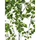 Birch tree for various decorative ideas-Bild-2