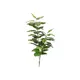 Threefold pothos ideal to complement other arrangements-Bild-1