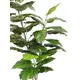 Threefold pothos ideal to complement other arrangements-Bild-4