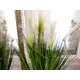 Decorative grass with feathery florescence-Bild-17