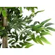 Ficus Benjamini mit Naturstämmen und langen Blättern-Bild-3