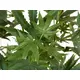 Pianta di cannabis artificiale per decorazioni-Bild-4
