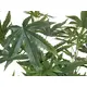 Pianta di cannabis artificiale per decorazioni-Bild-2