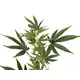Ramo cannabis artificiale per decorazioni-Bild-3