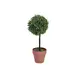 Small, lifelike grass ball tree-Bild-1