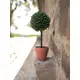 Small, lifelike grass ball tree-Bild-2