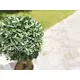 Small, lifelike grass ball tree-Bild-7