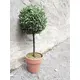 Small, lifelike grass ball tree-Bild-9
