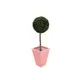 Lifelike classy boxwood in a bright and lucious green-Bild-1