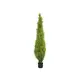 Cypress in modern form, with a natural look-Bild-1